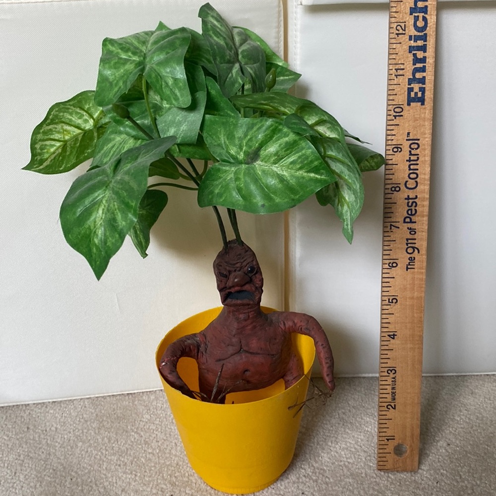 Harry Potter Collectible - Mandrake